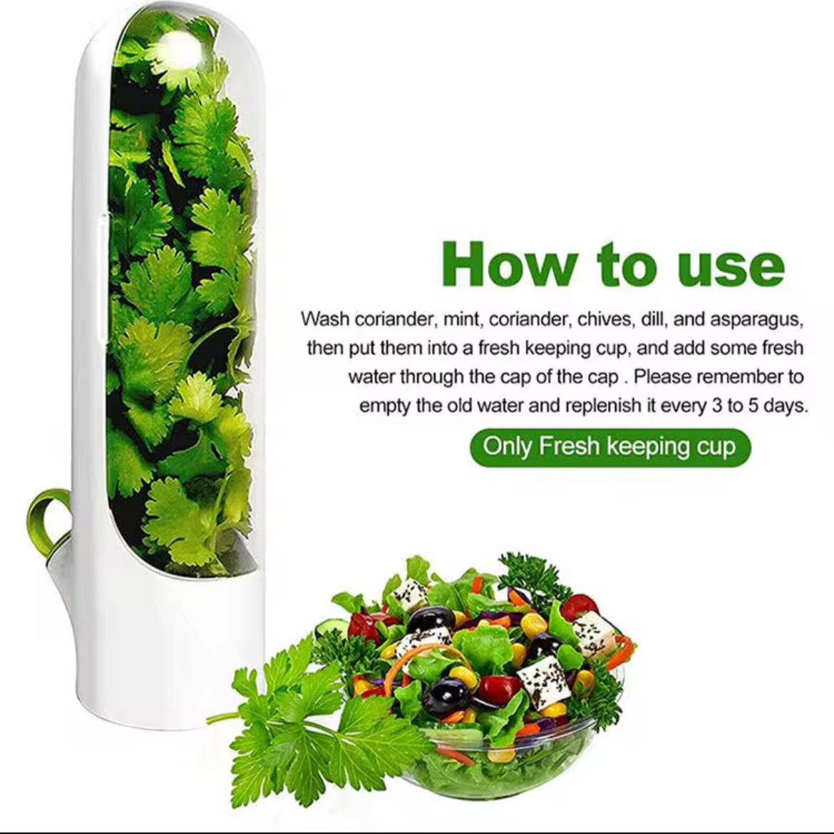 Herb Saver - Storage Container